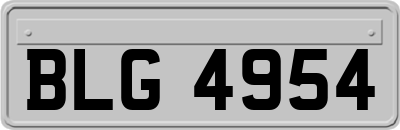 BLG4954