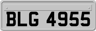 BLG4955