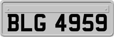 BLG4959