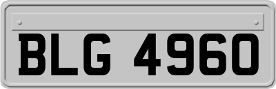 BLG4960
