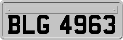 BLG4963