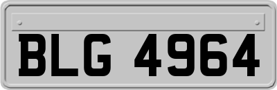 BLG4964
