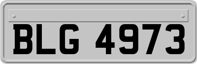 BLG4973