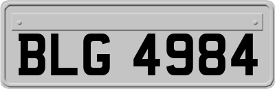 BLG4984
