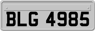 BLG4985