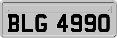 BLG4990