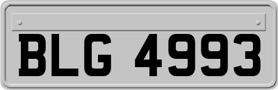 BLG4993