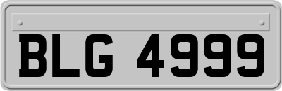 BLG4999