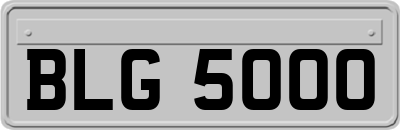 BLG5000