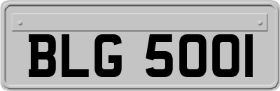 BLG5001