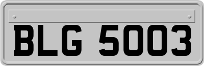 BLG5003