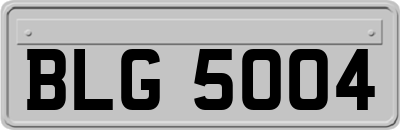 BLG5004