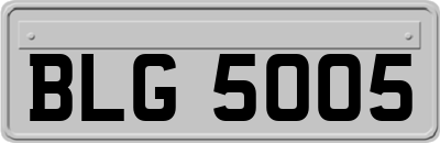 BLG5005