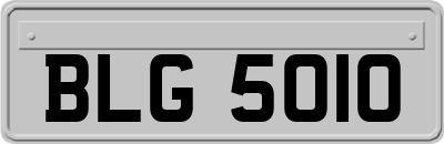 BLG5010