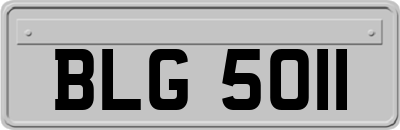 BLG5011