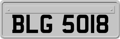 BLG5018