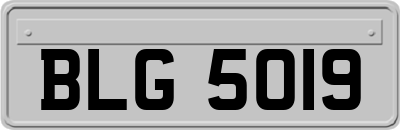 BLG5019