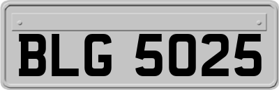 BLG5025
