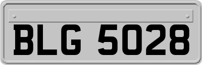 BLG5028