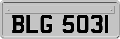 BLG5031