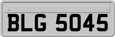 BLG5045