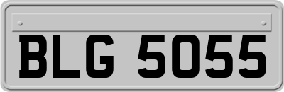 BLG5055