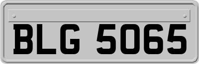 BLG5065
