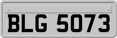 BLG5073