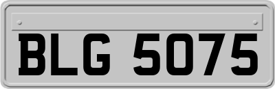 BLG5075