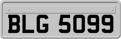 BLG5099