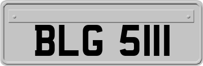 BLG5111