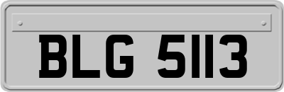 BLG5113