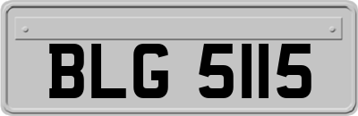 BLG5115