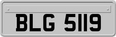 BLG5119