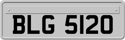 BLG5120
