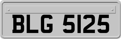 BLG5125