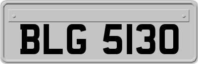 BLG5130