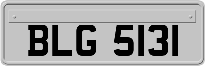 BLG5131