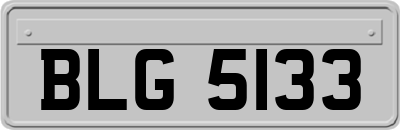 BLG5133