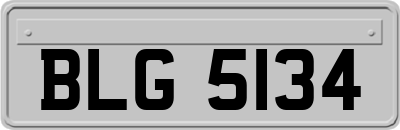 BLG5134