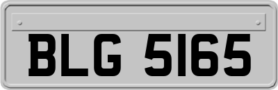 BLG5165