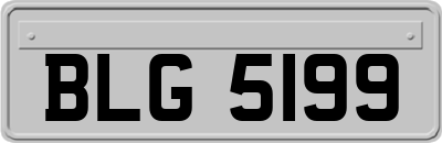 BLG5199