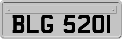 BLG5201