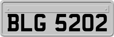 BLG5202
