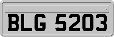 BLG5203