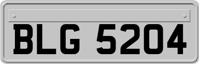 BLG5204