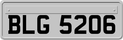 BLG5206