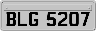 BLG5207