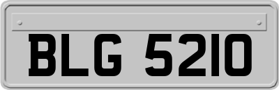 BLG5210