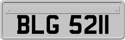 BLG5211